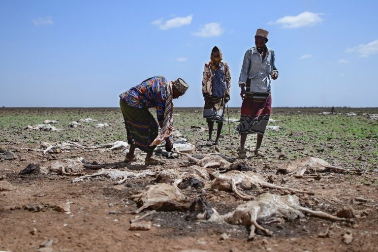 Drought tightens grip in Eastern Africa