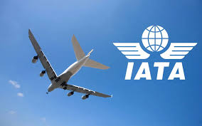 IATA Says African Airlines Saw 124 % Traffic Rise In January