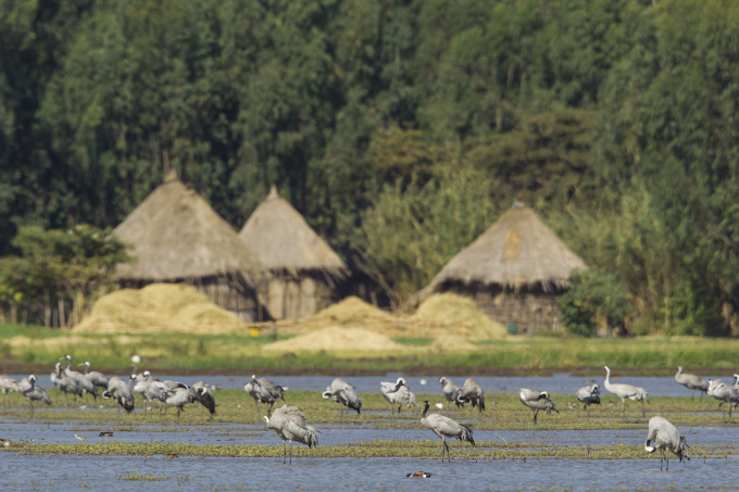 Biosphere Reserves Thriving in Ethiopia, but Challenges Persist