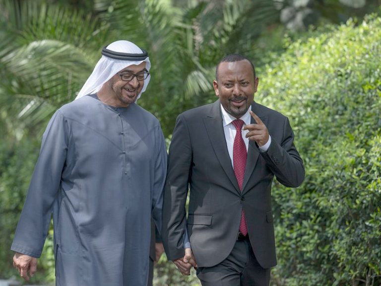 Over 113 UAE ’s investment projects with US$6 billion capital operate in Ethiopia