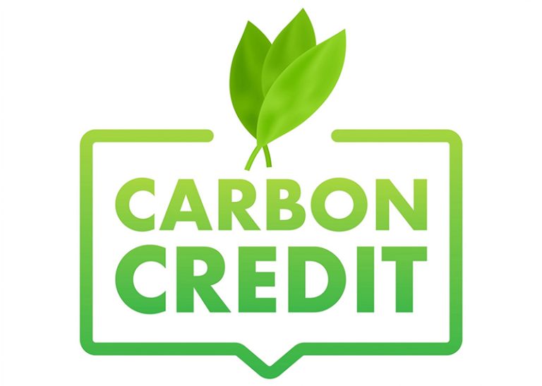 Carbon Credits : Excellent Initiative, Distorted Actions