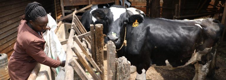 International Project to Boost Livestock Productivity in Ethiopia, Kenya Launched